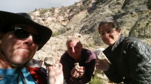 New finds in the Moreno Hill Formation, New Mexico